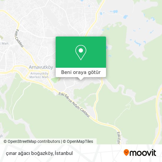 çınar ağacı boğazköy harita