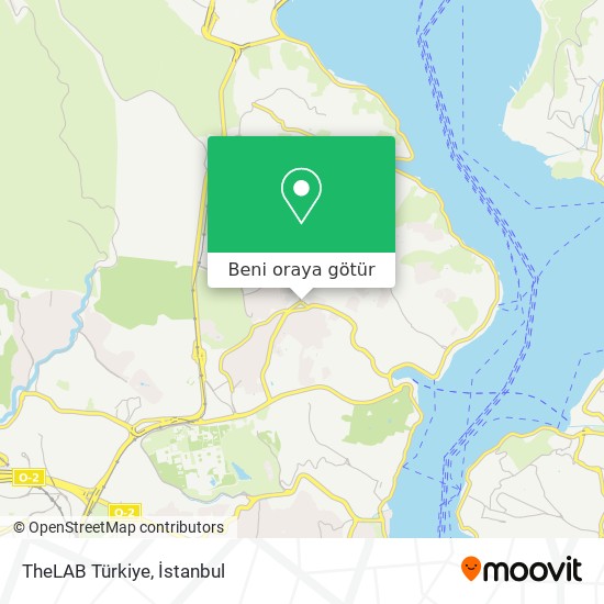 TheLAB Türkiye harita