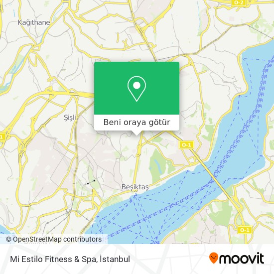 Mi Estilo Fitness & Spa harita