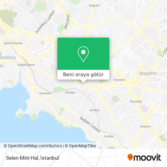 Selen Mini Hal harita