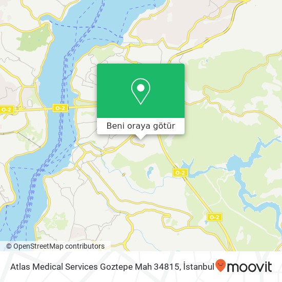 Atlas Medical Services Goztepe Mah 34815 harita