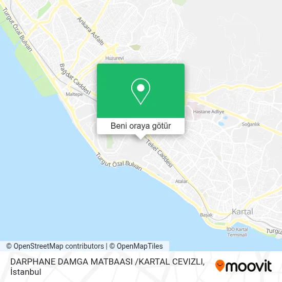 DARPHANE DAMGA MATBAASI /KARTAL CEVIZLI harita