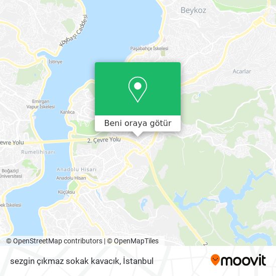 sezgin çıkmaz sokak kavacık harita