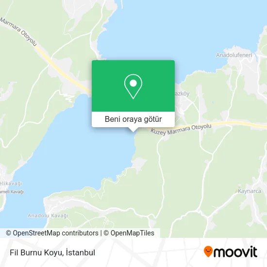 Fil Burnu Koyu harita