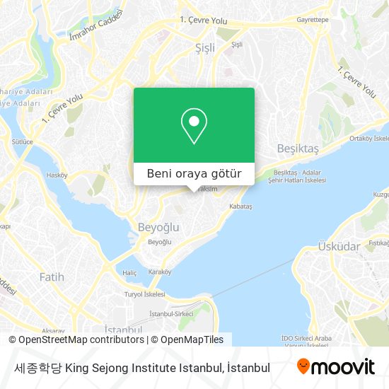 세종학당 King Sejong Institute Istanbul harita