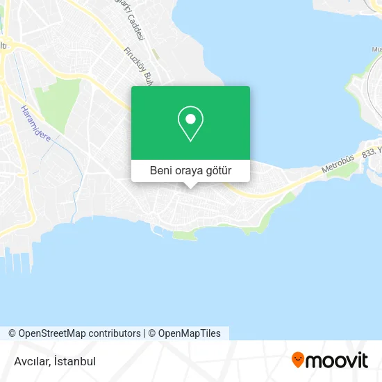 Avcılar harita