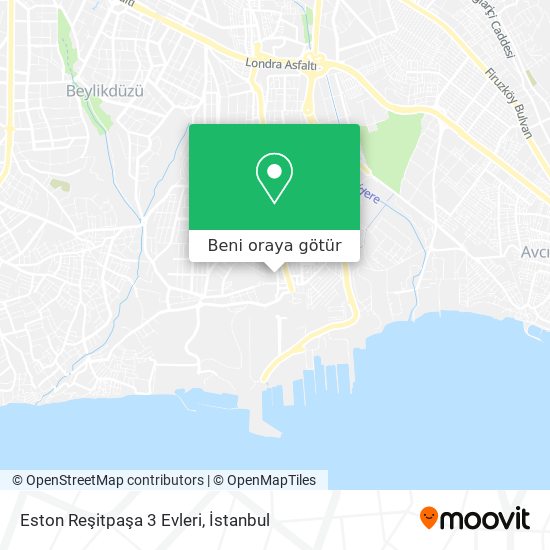Eston Reşitpaşa 3 Evleri harita