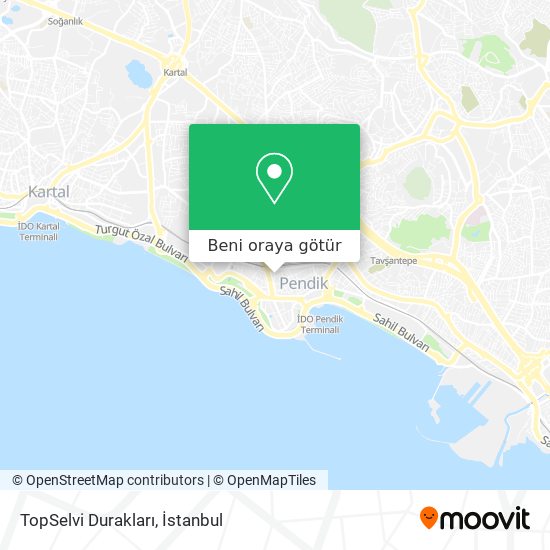 TopSelvi Durakları harita