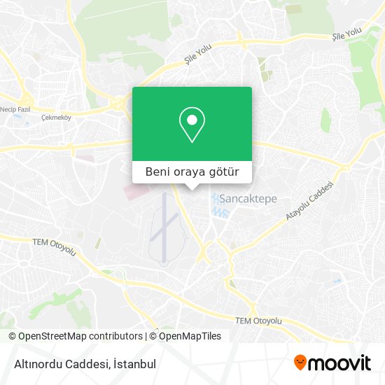 Altınordu Caddesi harita