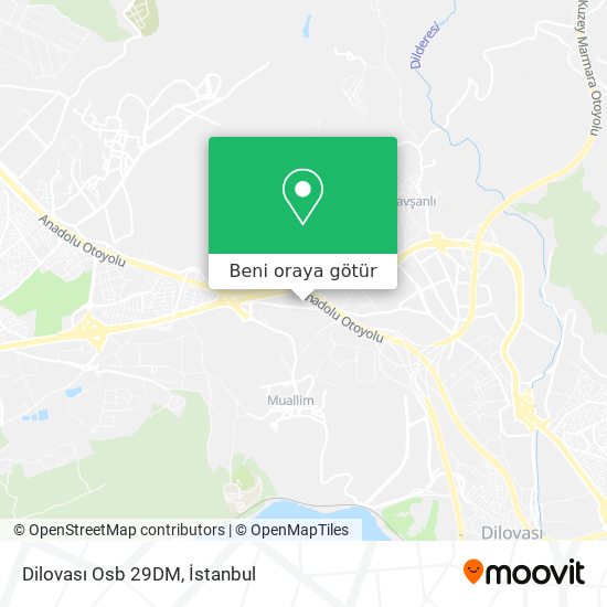 Dilovası Osb 29DM harita