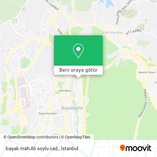 başak mah.Ali soylu cad. harita