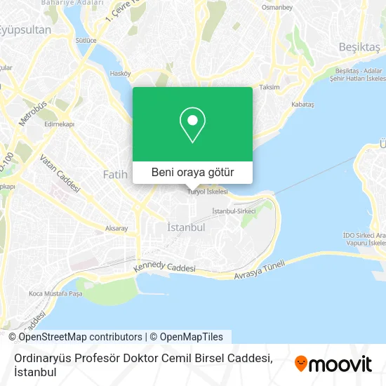 Ordinaryüs Profesör Doktor Cemil Birsel Caddesi harita