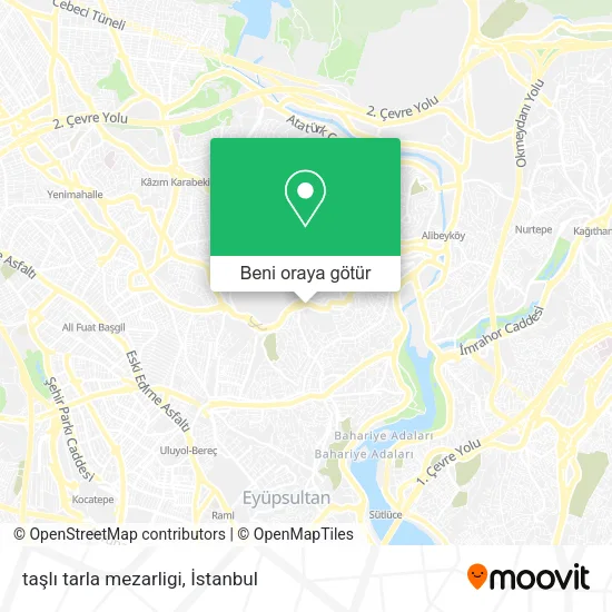taşlı tarla mezarligi harita