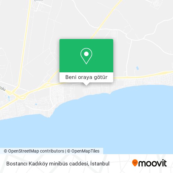 Bostancı Kadıköy minibüs caddesi harita