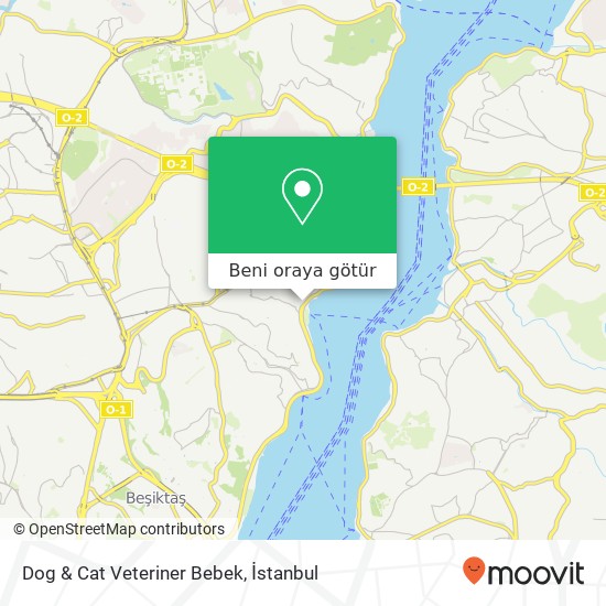 Dog & Cat Veteriner Bebek harita