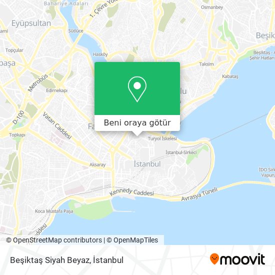 Beşiktaş Siyah Beyaz harita