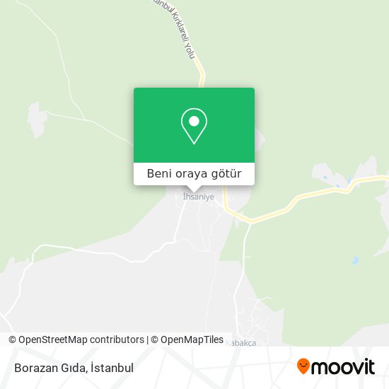 Borazan Gıda harita