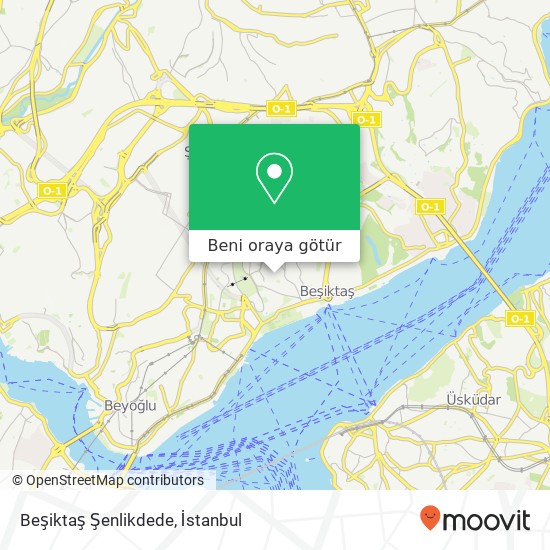 Beşiktaş Şenlikdede harita