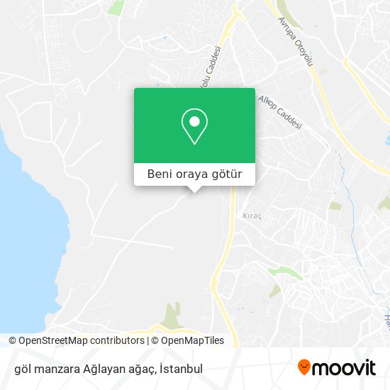 göl manzara Ağlayan ağaç harita