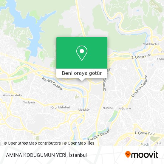 AMINA KODUGUMUN YERİ harita