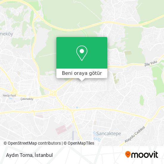 Aydın Torna harita