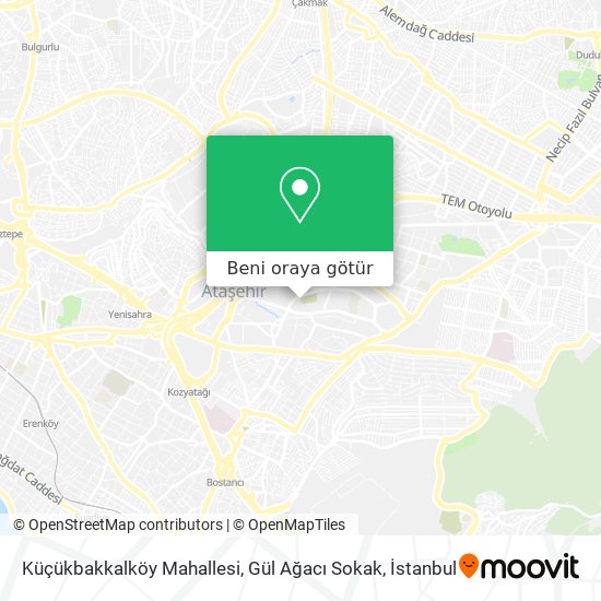 Küçükbakkalköy Mahallesi, Gül Ağacı Sokak harita