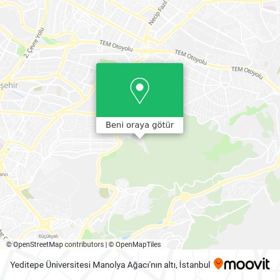 Yeditepe Üniversitesi Manolya Ağacı'nın altı harita