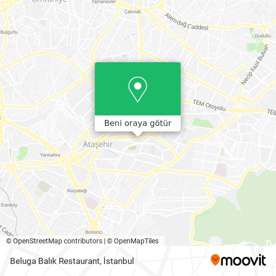 Beluga Balık Restaurant harita