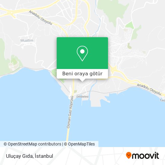 Uluçay Gıda harita