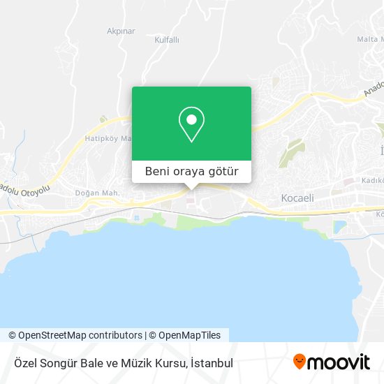 Özel Songür Bale ve Müzik Kursu harita