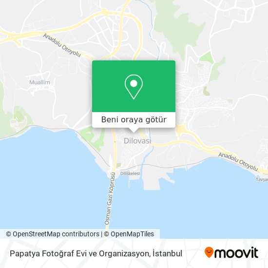 Papatya Fotoğraf Evi ve Organizasyon harita