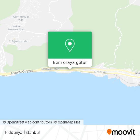 Fiddünya harita