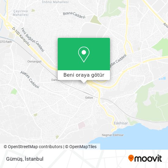 Gümüş harita