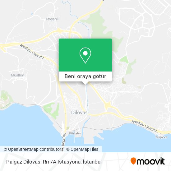 Palgaz Dilovasi Rm/A Istasyonu harita