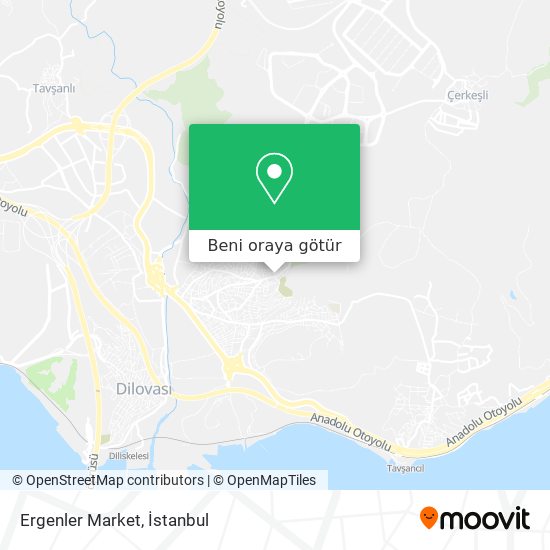 Ergenler Market harita