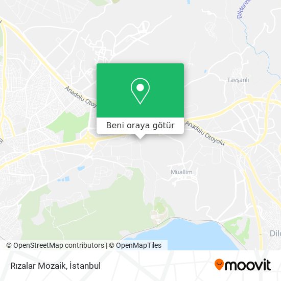 Rızalar Mozaik harita