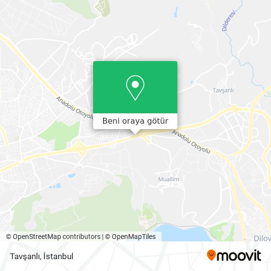 Tavşanlı harita