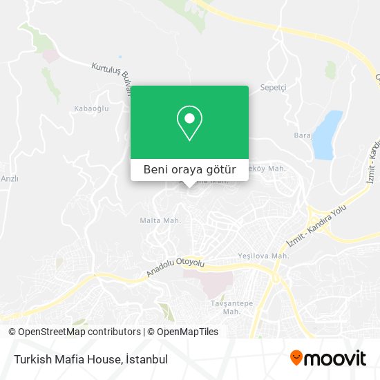 Turkish Mafia House harita