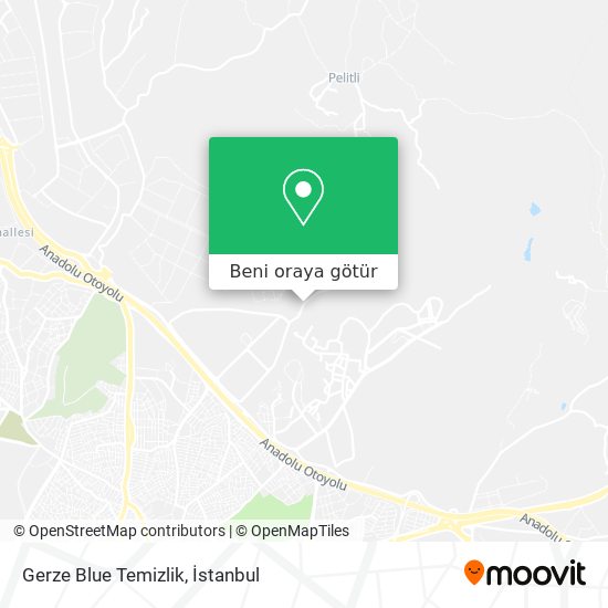 Gerze Blue Temizlik harita