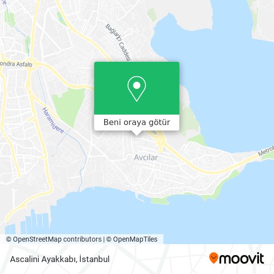 Ascalini Ayakkabı harita