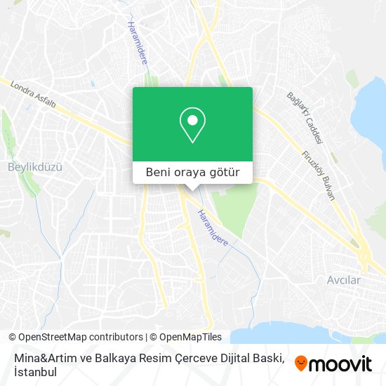Mina&Artim ve Balkaya Resim Çerceve Dijital Baski harita