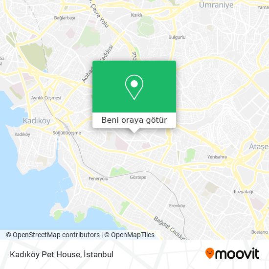Kadıköy Pet House harita