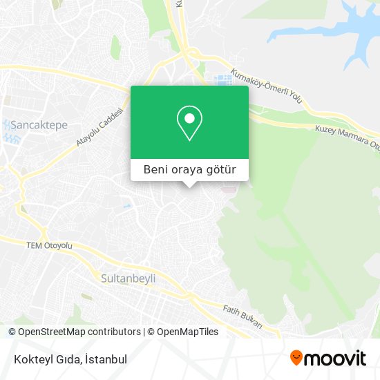 Kokteyl Gıda harita