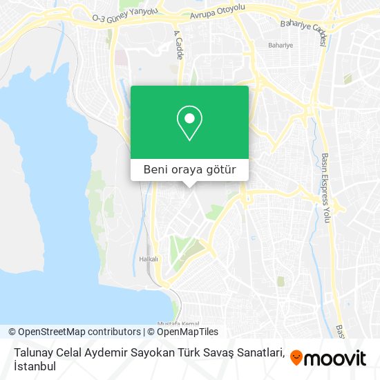Talunay Celal Aydemir Sayokan Türk Savaş Sanatlari harita