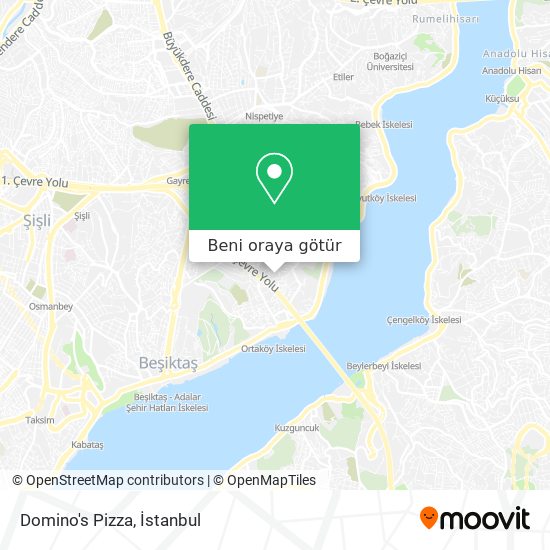 Domino's Pizza harita