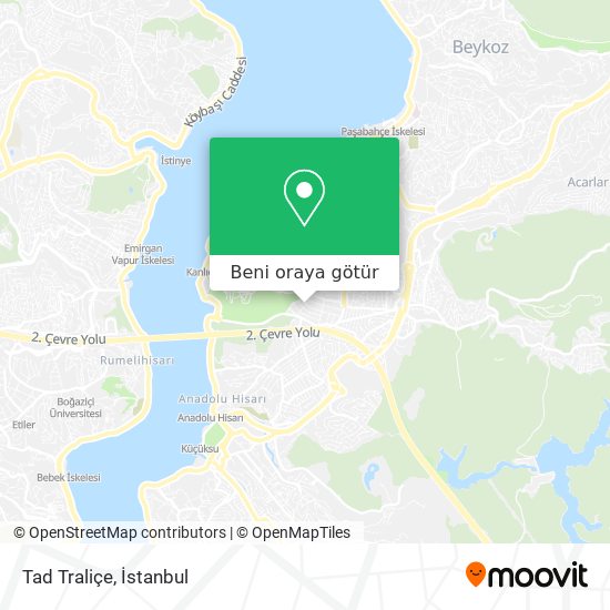 Tad Traliçe harita