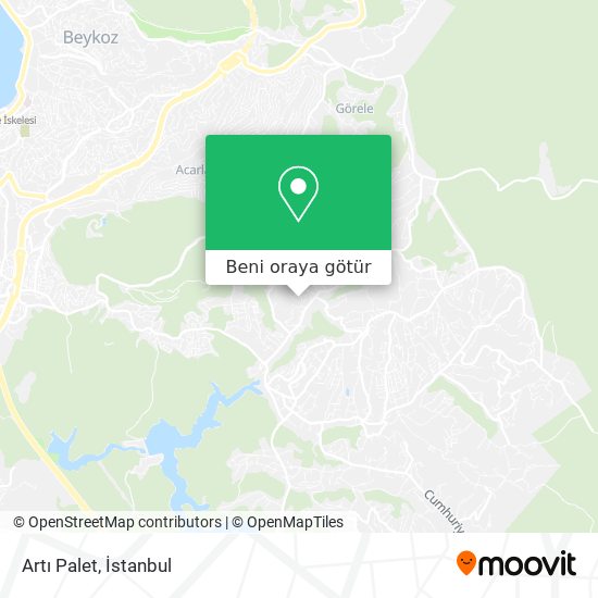 Artı Palet harita