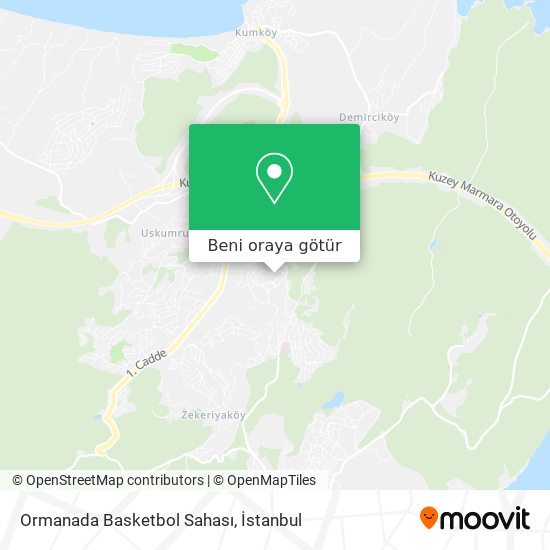 Ormanada Basketbol Sahası harita