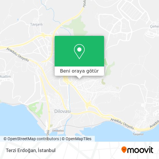 Terzi Erdoğan harita