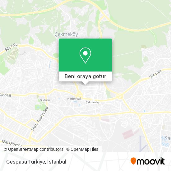 Gespasa Türkiye harita